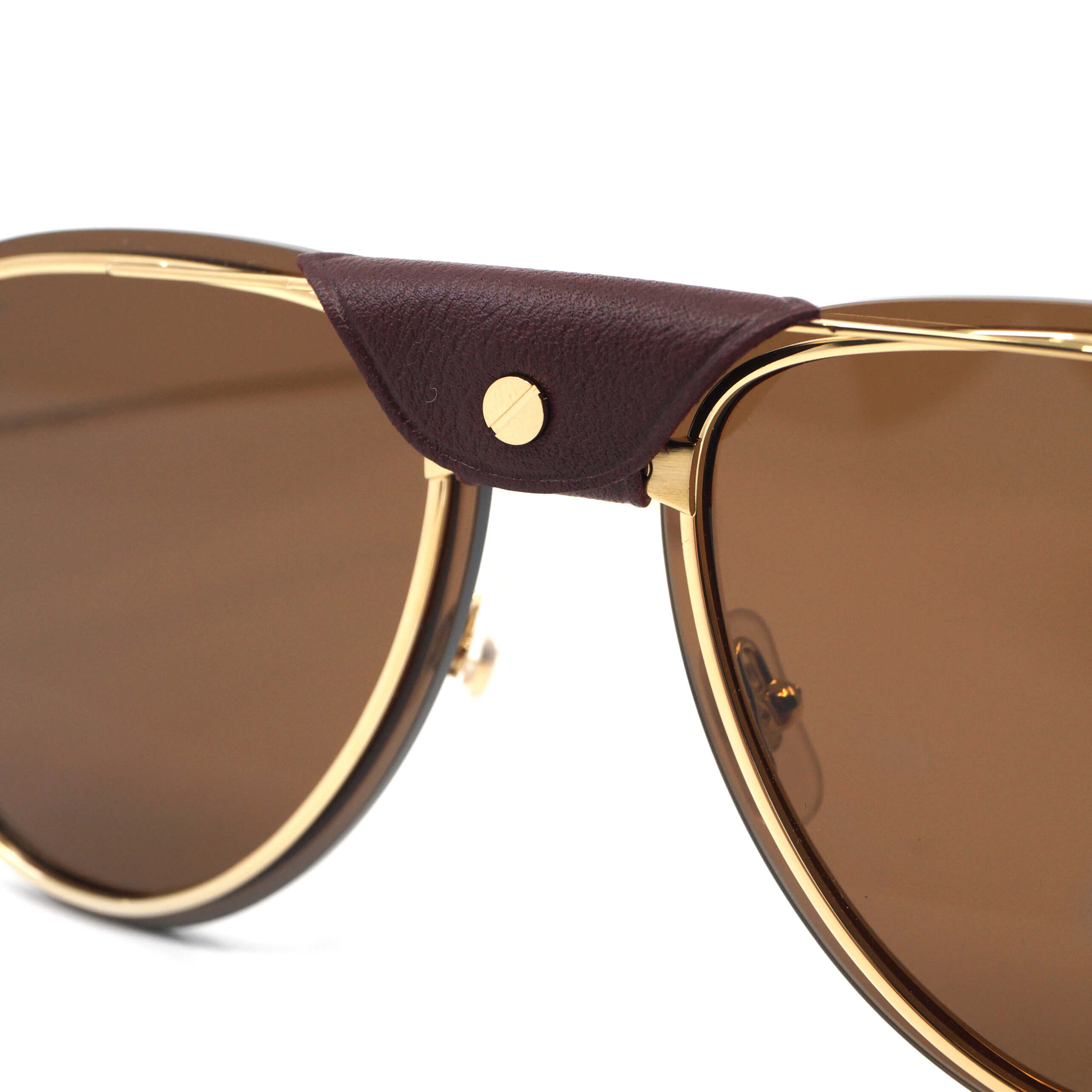 Steg der Cartier CT0242S in der Farbe 002